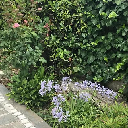 Lejlighed Vittoria House 2